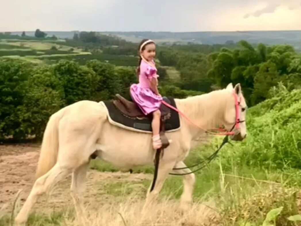 A equitação e seu impacto no desenvolvimento infantil, comportamental e cognitivo