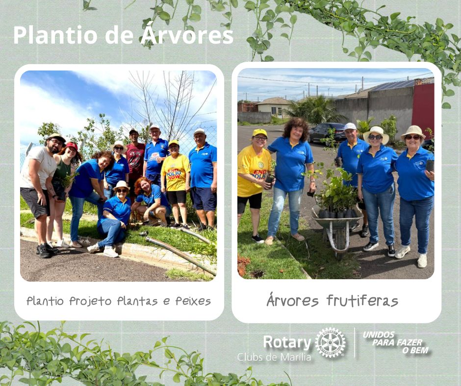 Rotary Club de Marília-Pioneiro e Projeto Plantas e Peixes realizam mais um plantio de árvores em Marília