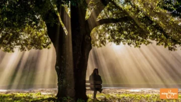 O Invisível que Governa sua Vida e sua Maternidade