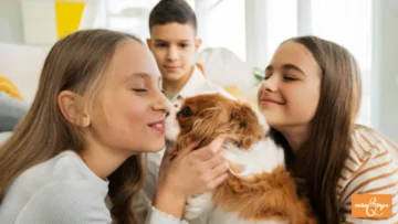 Novo Contorno da Família Contemporânea Multiespécie